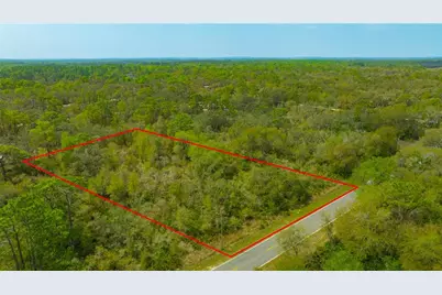35166 Cornerstone Drive, Ridge Manor Estates, FL 33597 - Photo 2