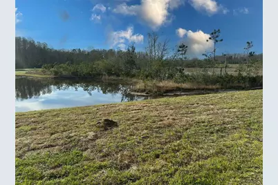 11450 Crescent Deer Drive, Land O Lakes, FL 34638 - Photo 24