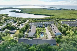 14 Seagrape Cir, Clearwater, FL 33759 - Photo 52