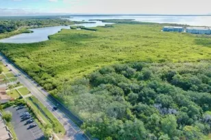 14 Seagrape Cir, Clearwater, FL 33759 - Photo 56