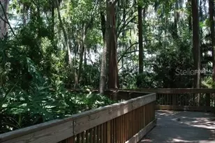 3256 Bentley Dr, Palm Harbor, FL 34684 - Photo 40