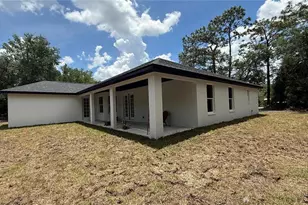 35031 Primrose Ln, Webster, FL 33597 - Photo 2
