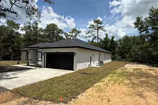 35031 Primrose Ln, Webster, FL 33597 - Photo 8