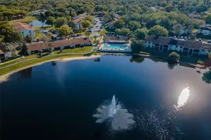 2687 Pine Ridge Way S, Palm Harbor, FL 34684 - Photo 68