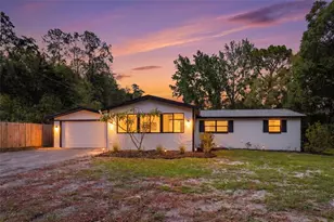 7229 Plathe Rd, New Port Richey, FL 34653 - Photo 2