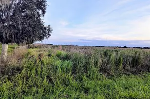 Tom Bryan Rd, Zolfo Springs, FL 33890 - Photo 1