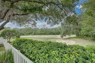 1808 Tangledvine Dr, Wesley Chapel, FL 33543 - Photo 56