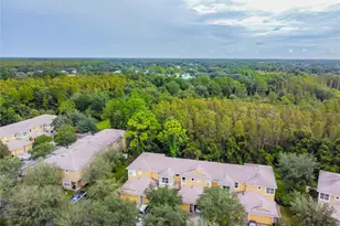 8116 Stone Path Way, Tampa, FL 33647 - Photo 26