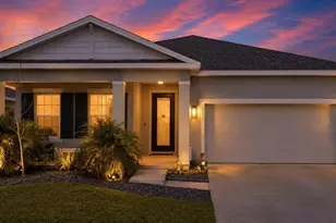18217 Falling Pine Needle Ln, Land O Lakes, FL 34638 - Photo 1