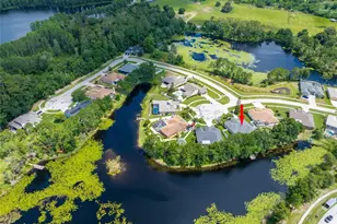 21629 Silver Bay Pl, Land O Lakes, FL 34637 - Photo 4