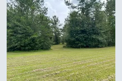 12482 161st Road, Live Oak, FL 32060 - Photo 14