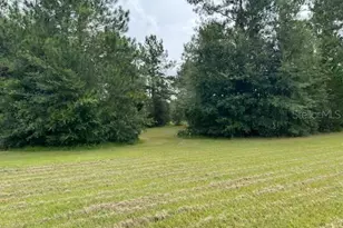 12482 161st Rd, Live Oak, FL 32060 - Photo 14