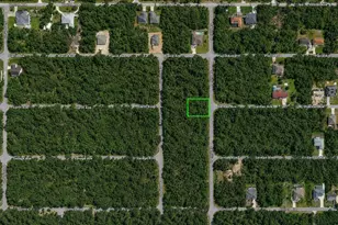 3295 Santilli, Port Charlotte, FL 33948 - Photo 10