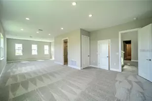 31808 Tortuga Shore Loop, Wesley Chapel, FL 33545 - Photo 32