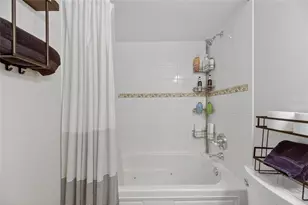 703 Isleton Dr, Brandon, FL 33511 - Photo 52