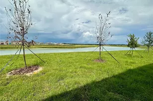 11131 Radiant Shore Loop, San Antonio, FL 33576 - Photo 26