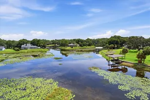 3028 S Davis Lake Dr, Inverness, FL 34450 - Photo 68