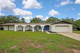 12305 Leanne Dr, Dade City, FL 33525 - Photo 4