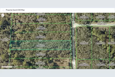 10690 Hennessey Avenue, Hastings, FL 32145 - Photo 1