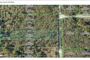10690 Hennessey Ave, Hastings, FL 32145 - Photo 1