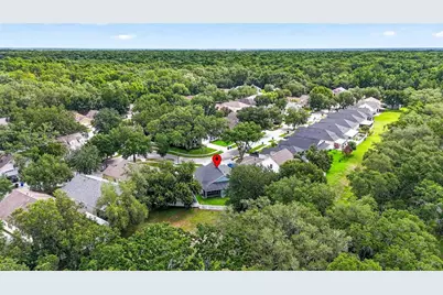 15826 Stags Leap Drive, Lutz, FL 33559 - Photo 52