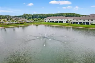 4221 Cloud Hopper Wy, Lutz, FL 33559 - Photo 54