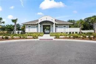 4221 Cloud Hopper Wy, Lutz, FL 33559 - Photo 46