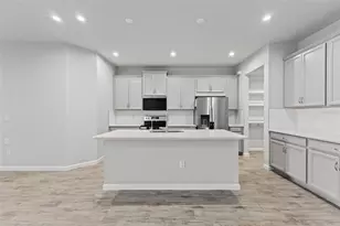 4221 Cloud Hopper Wy, Lutz, FL 33559 - Photo 12