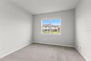 4221 Cloud Hopper Wy, Lutz, FL 33559 - Photo 42