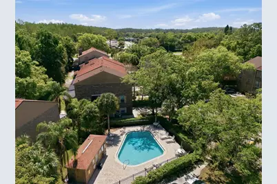 3962 Mermoor Drive, Palm Harbor, FL 34685 - Photo 14