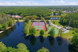 3962 Mermoor Dr, Palm Harbor, FL 34685 - Photo 22