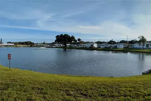 221 Heron Rd, Clearwater, FL 33764 - Photo 46