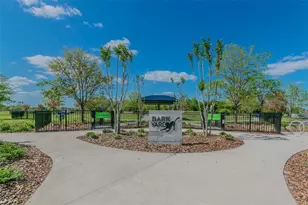 16884 Full Sun Aly, Land O Lakes, FL 34638 - Photo 50