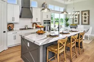 16884 Full Sun Aly, Land O Lakes, FL 34638 - Photo 12
