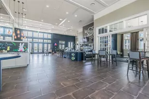 16884 Full Sun Aly, Land O Lakes, FL 34638 - Photo 54