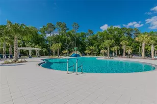 16884 Full Sun Aly, Land O Lakes, FL 34638 - Photo 68
