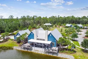 16884 Full Sun Aly, Land O Lakes, FL 34638 - Photo 58