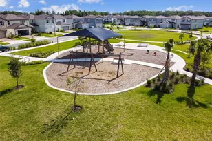 16884 Full Sun Aly, Land O Lakes, FL 34638 - Photo 86