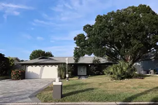 1019 Spindle Palm Way, Apollo Beach, FL 33572 - Photo 1