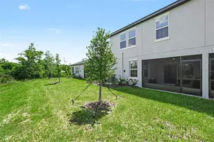10911 Rustic Eve Ct, Land O Lakes, FL 34638 - Photo 28