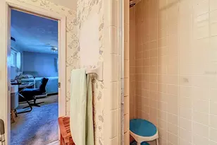 874 Joan St, Dunedin, FL 34698 - Photo 62