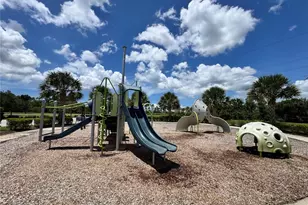 3921 Mossy Limb Ct, Palmetto, FL 34221 - Photo 48