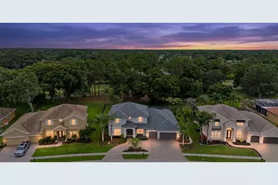 12422 Eagles Entry Drive, Odessa, FL 33556 - Photo 2