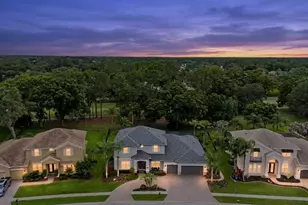 12422 Eagles Entry Dr, Odessa, FL 33556 - Photo 2
