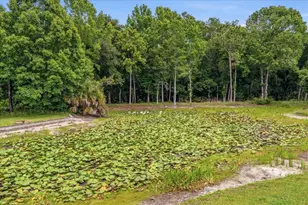 4941 Felecity Way, Palm Harbor, FL 34685 - Photo 62