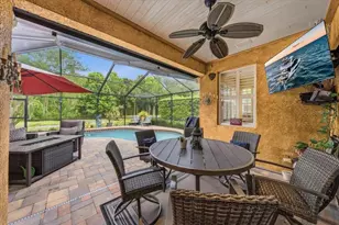 4941 Felecity Way, Palm Harbor, FL 34685 - Photo 16