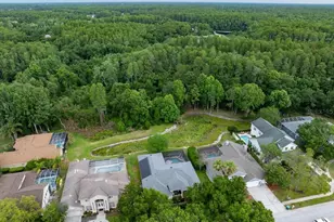 4941 Felecity Way, Palm Harbor, FL 34685 - Photo 64