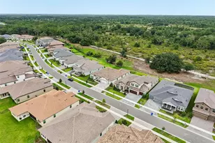 14537 Swiss Bridge Dr, Lithia, FL 33547 - Photo 54