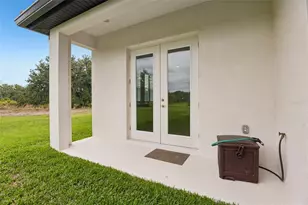 14537 Swiss Bridge Dr, Lithia, FL 33547 - Photo 48