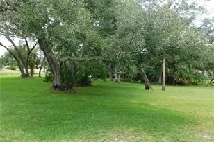 1400 Tarpon Woods Blvd, Palm Harbor, FL 34685 - Photo 4